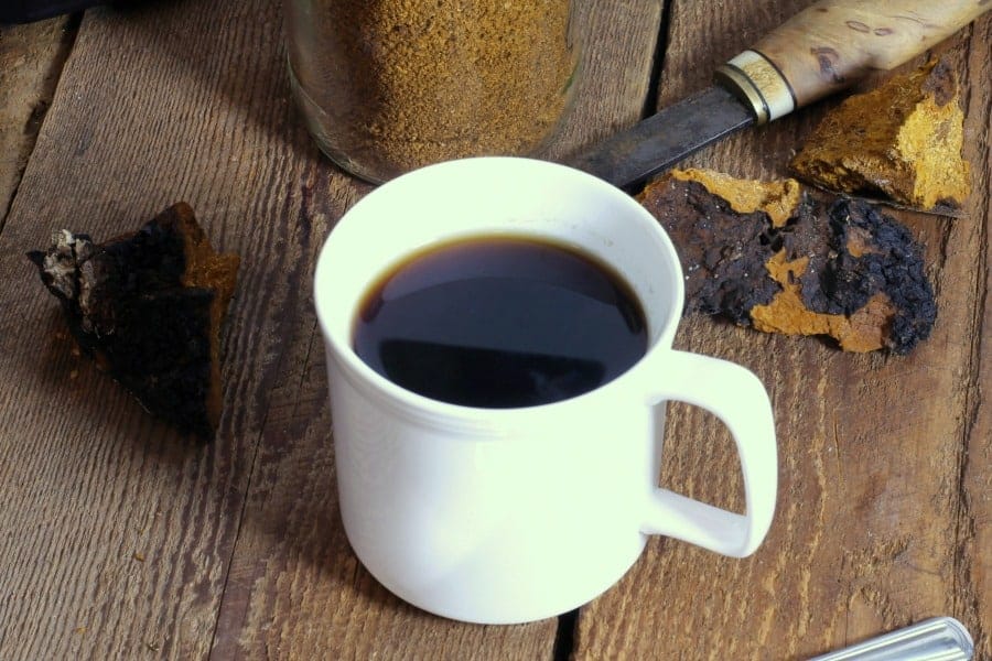 Buy Chaga Mushroom Online