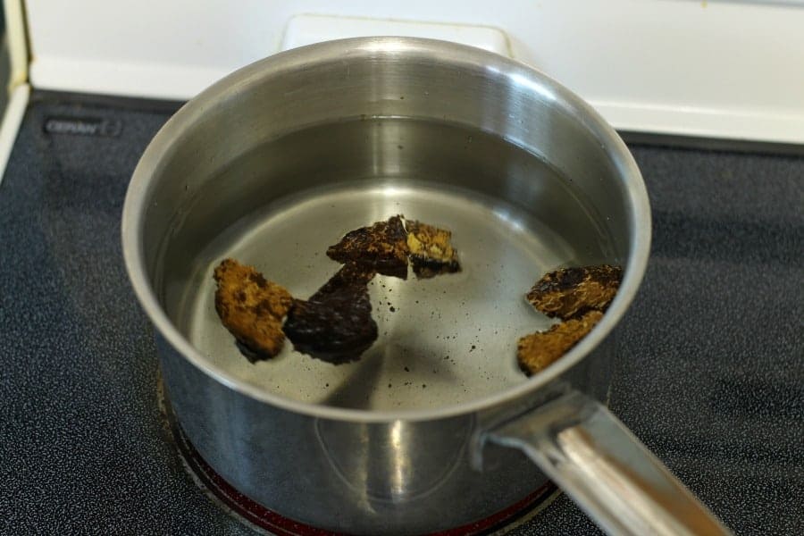 chunks of chaga in a pot of water about to be simmered