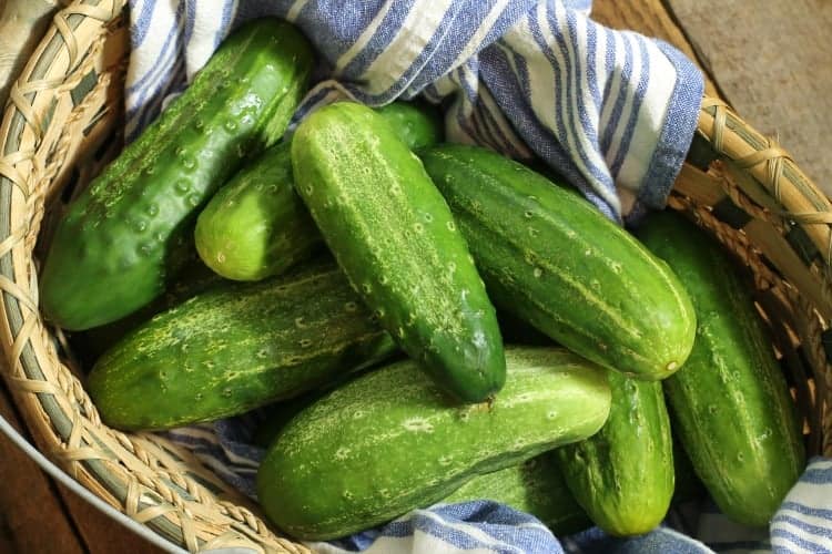 a woven basket filled with freshly picked homegrown field cucmbers