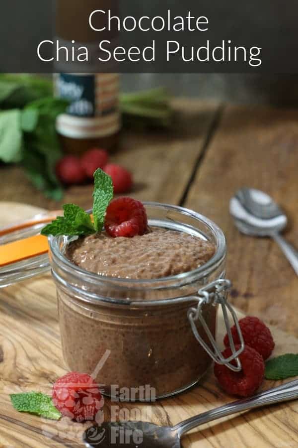vertical image of chocolate chia pudding in a mason jar garnished with raspberries and mint.