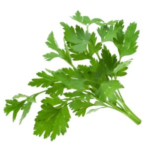 an example of italian flat leaf parsley