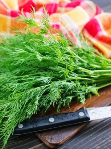 a bunch of freshly harvested dill on a cutting board