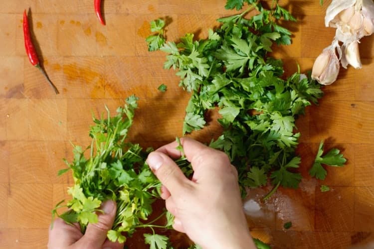 hands picking italian parsley leaves from stems over a wooden cutting board