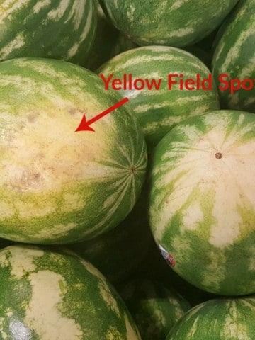 a bunch of watermelons with a red arrow showing where the field spot is