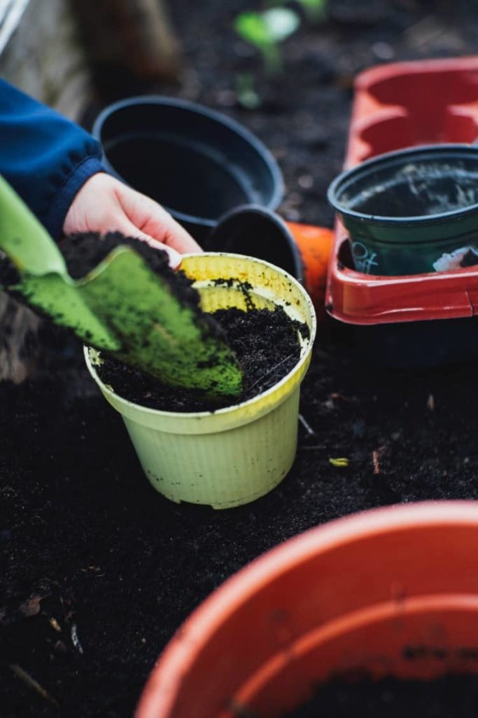 Small planters being filled with fresh compost.