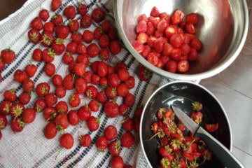 hulling strawberries by removing the green tops