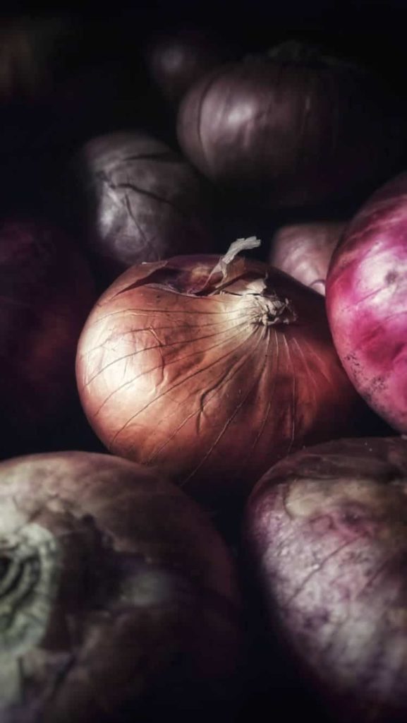 close up shoot of dried red onions