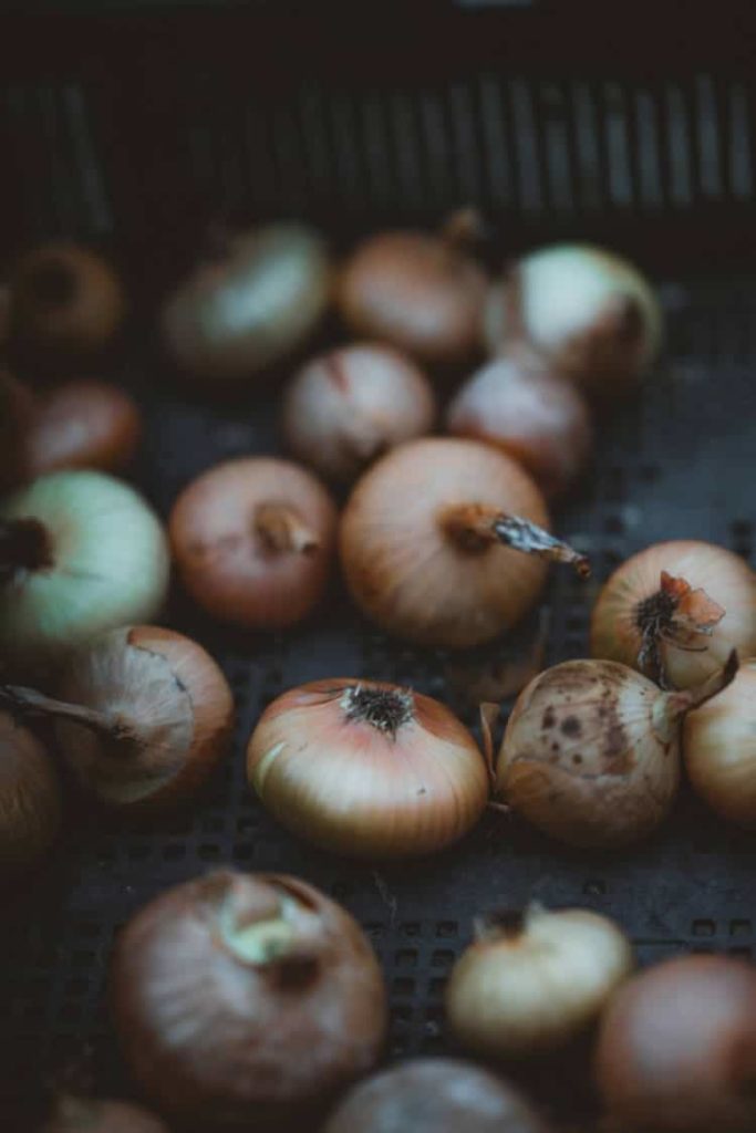 a moody image of various onions on a dark background