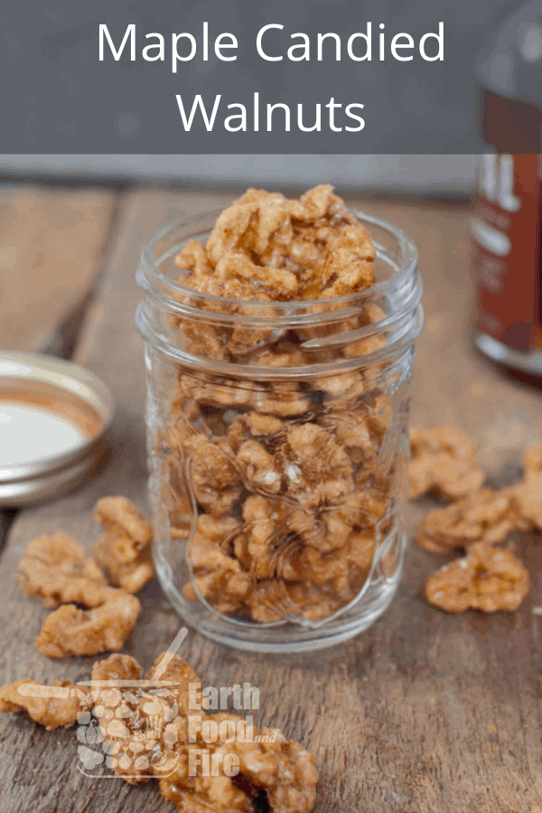 maple candied walnuts in a mason jar