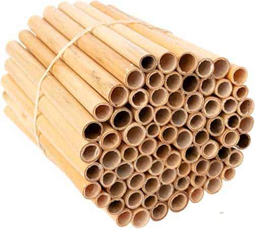 insect nesting tubes in a bundle