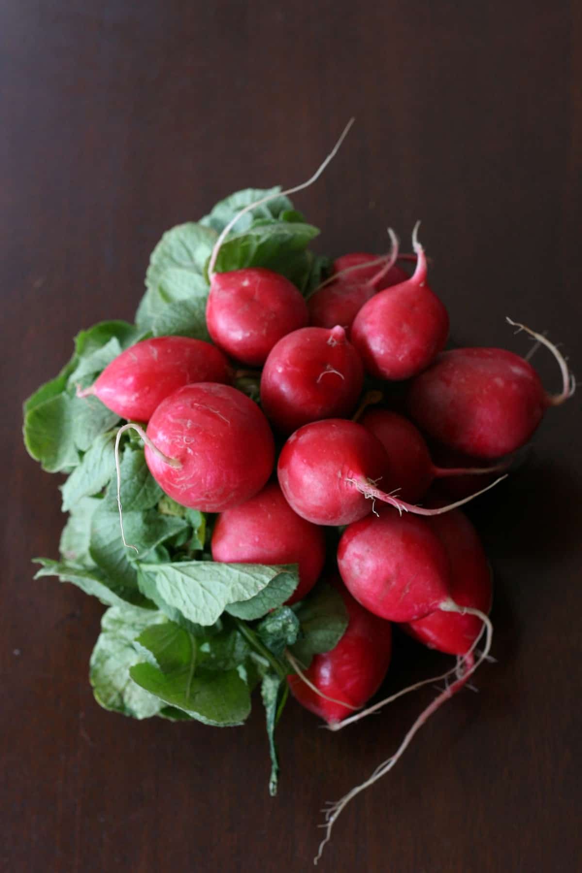 How To Grow Radishes Earth, Food, and Fire