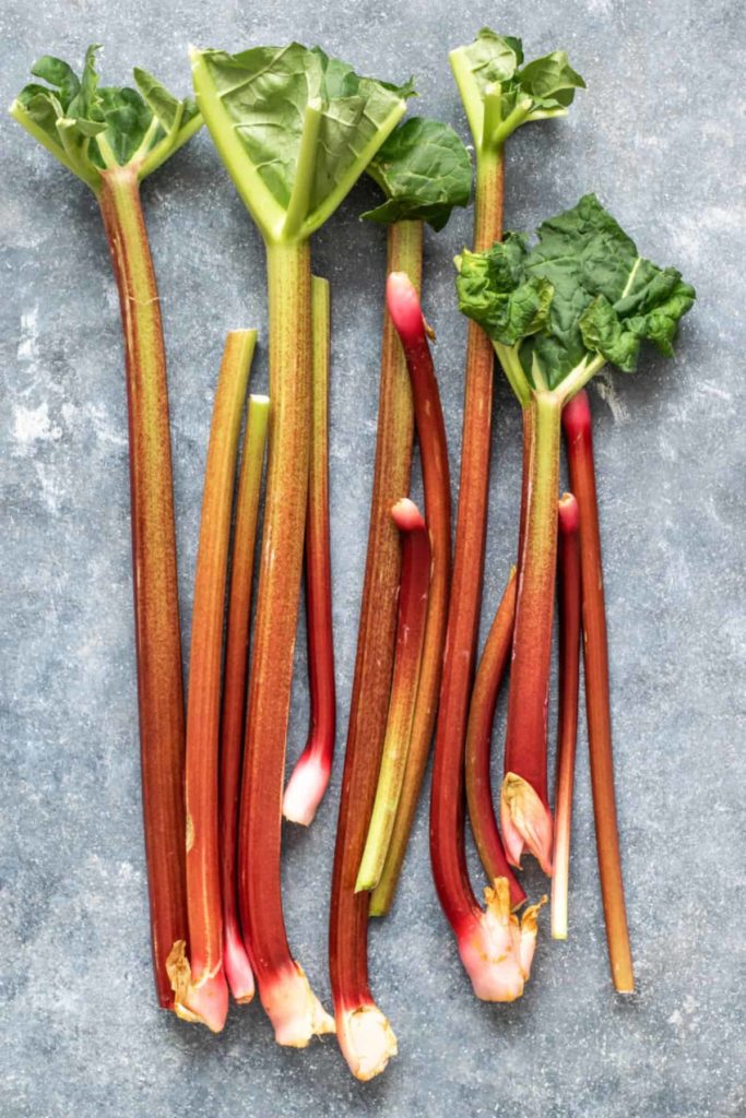 freshly harvest stems of rhubarb on a grey countertop