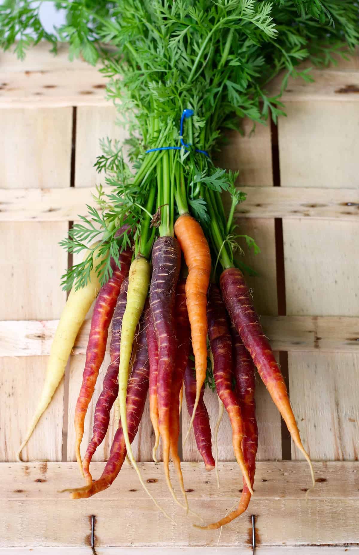 a bundle of carrots of various colors