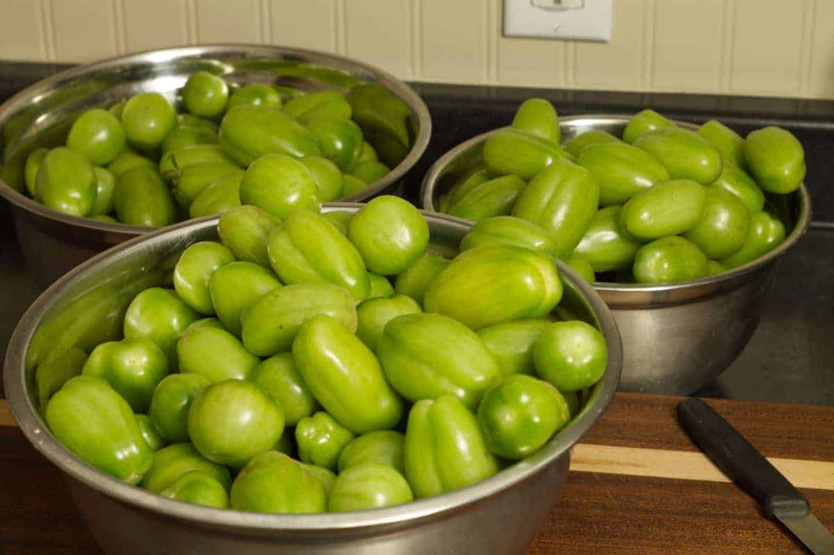 cleaned green tomatoes in three stainless steel bowls
