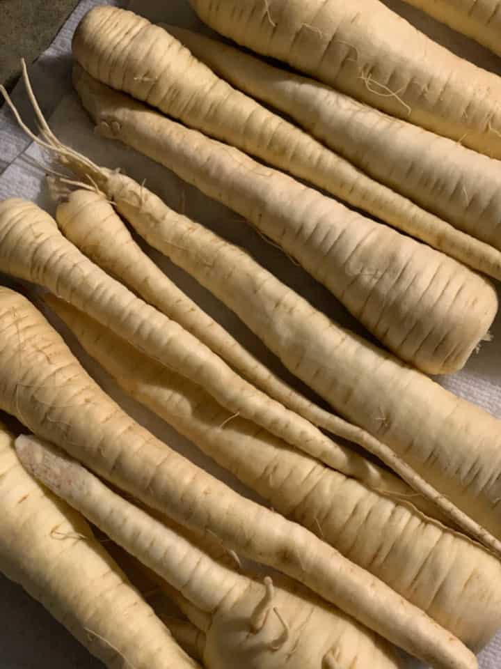cleaned parsnips on a white cloth