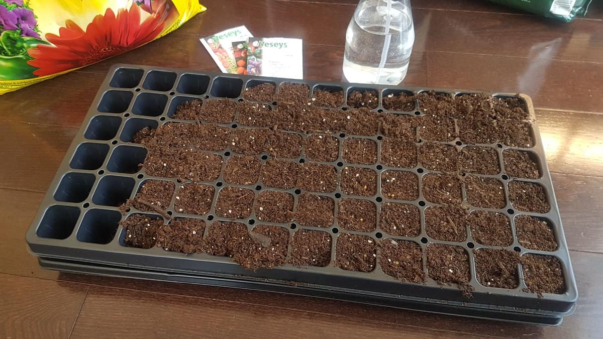 Plant Starting Tray or Seed Starting Tray with a Muffin Pan