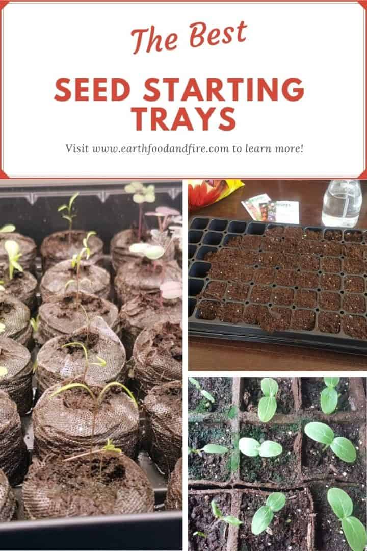 a pinterest collage pin of various seed starting trays