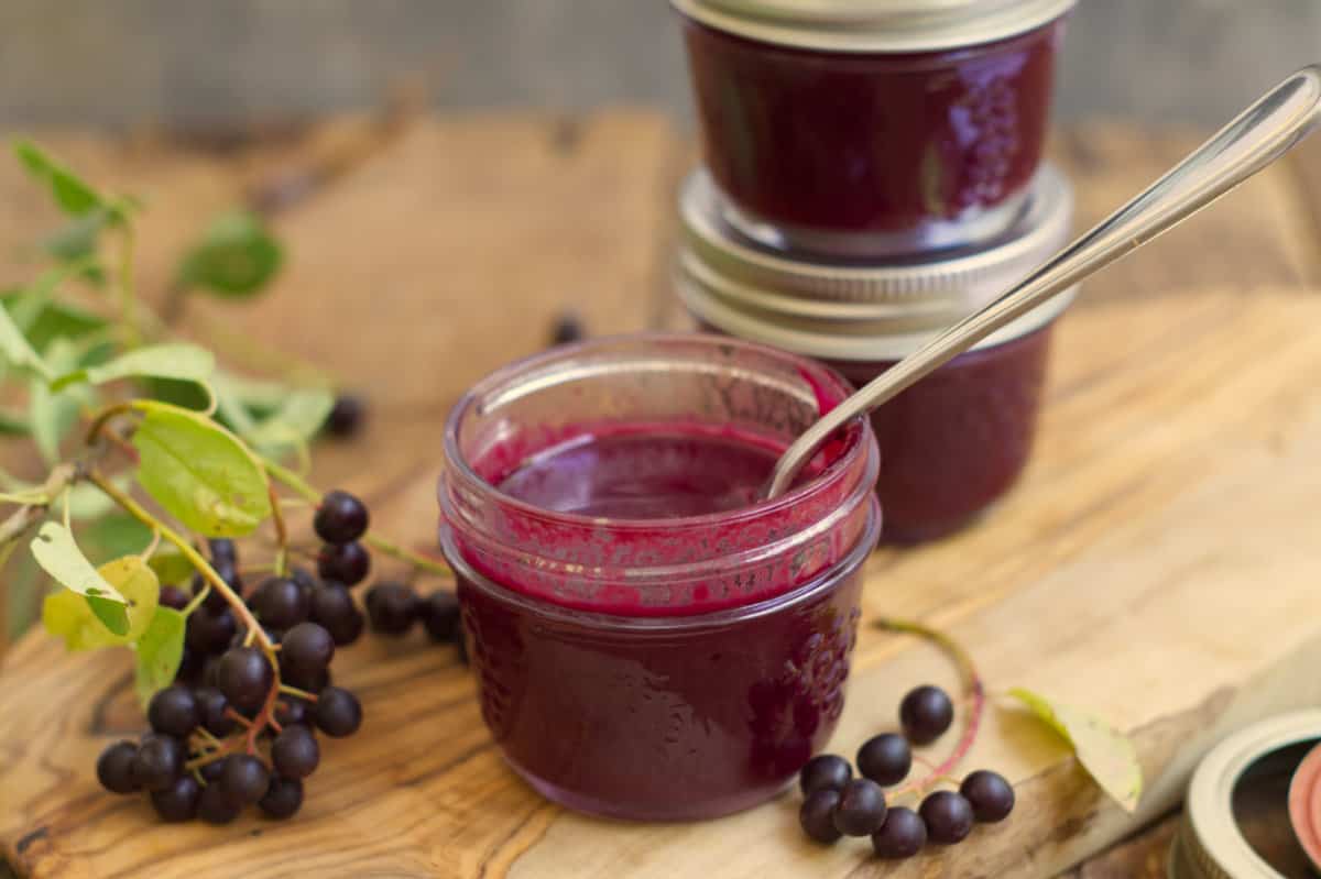 chokecherry jam in small mason jars on a wooden display board