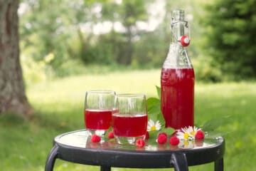 A glass bottle and two glasses of raspberry cordial served outside in a garden setting