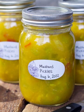 Pickled Sweet & Sour Mustard Cucumbers ⋆ My German Recipes