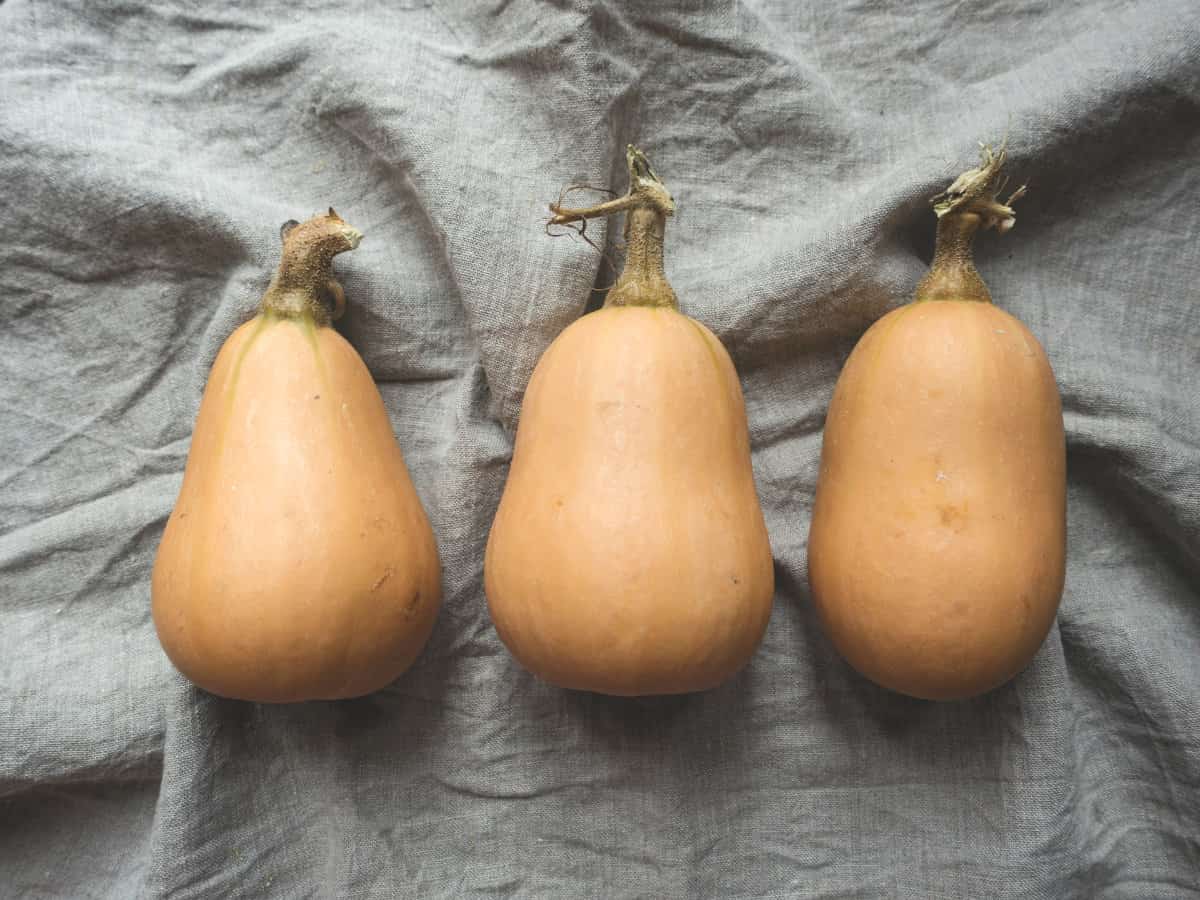 Three ripe butternut squashes on a grey linen sheet