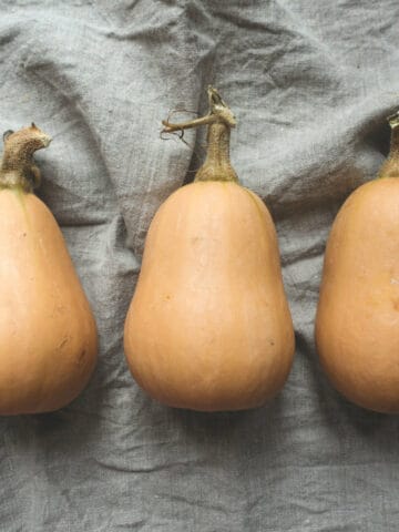 Top down view of three mature butternut squash side by side on a grey sheet.