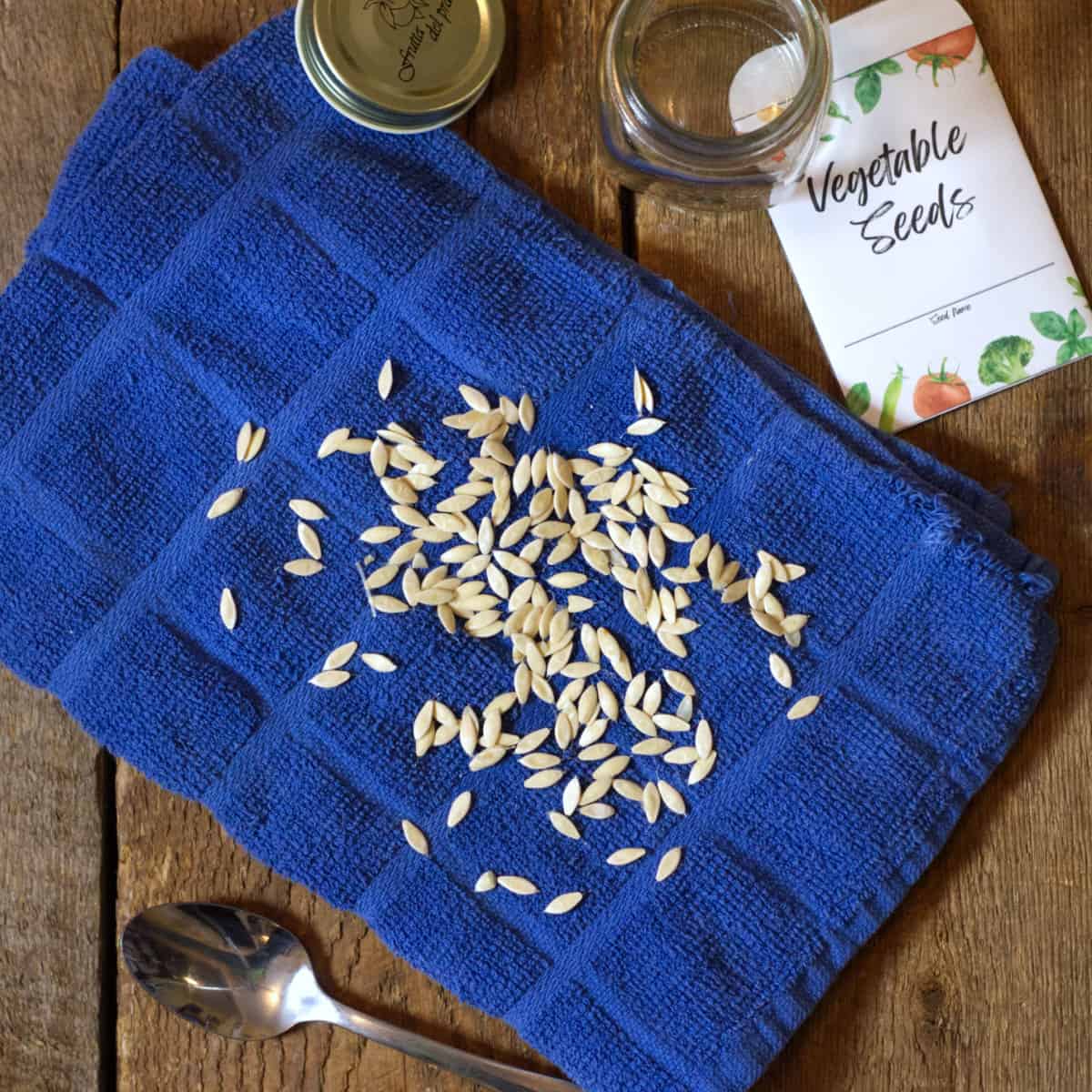 Saving Cucumber Seeds Harvesting Storing Seeds For Next Years saving-cucumber-seeds-harvesting-storing-seeds-for-next-years
