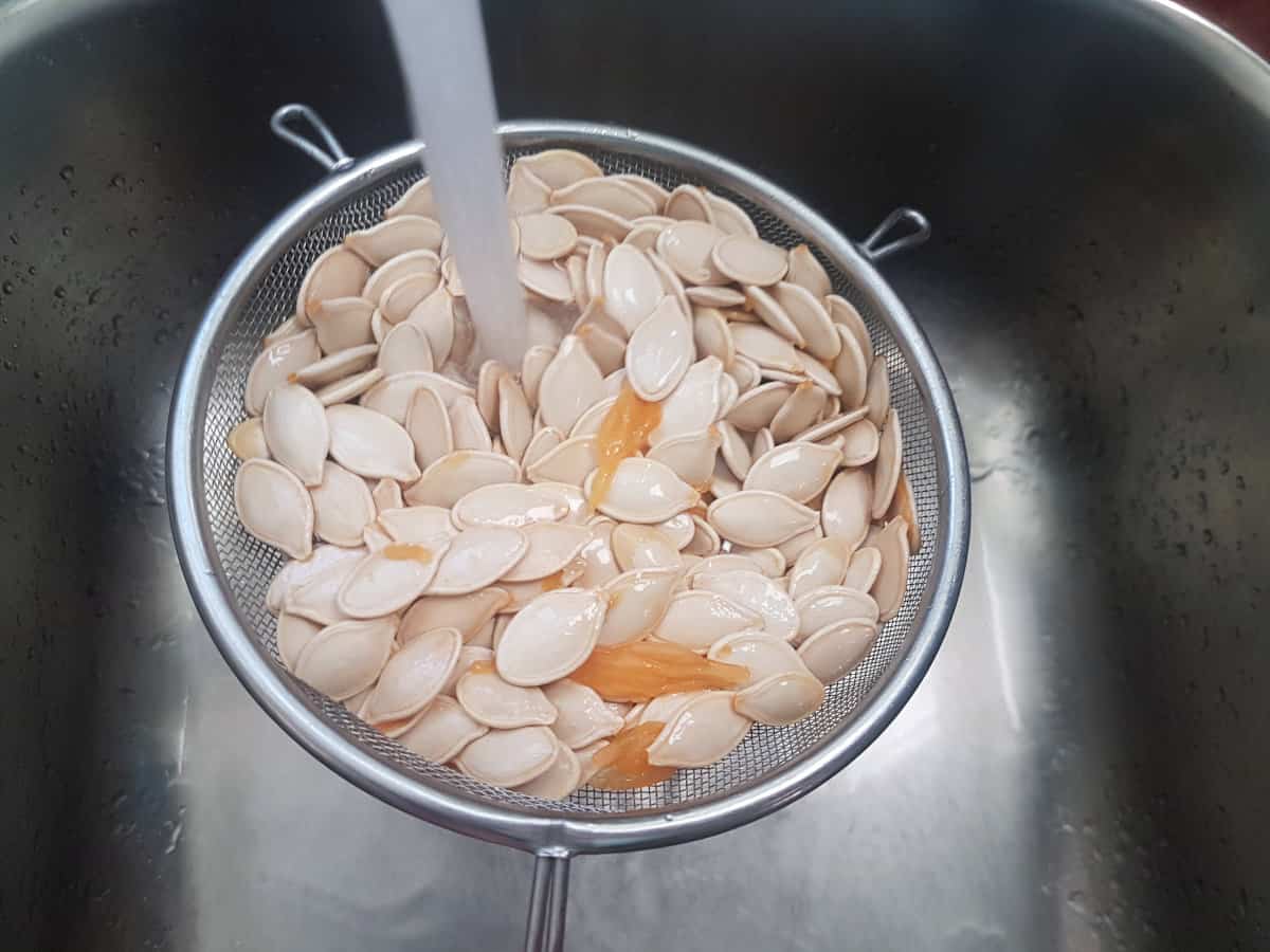 Raw pumpkin seeds being rinsed with water in a fine mesh sieve.