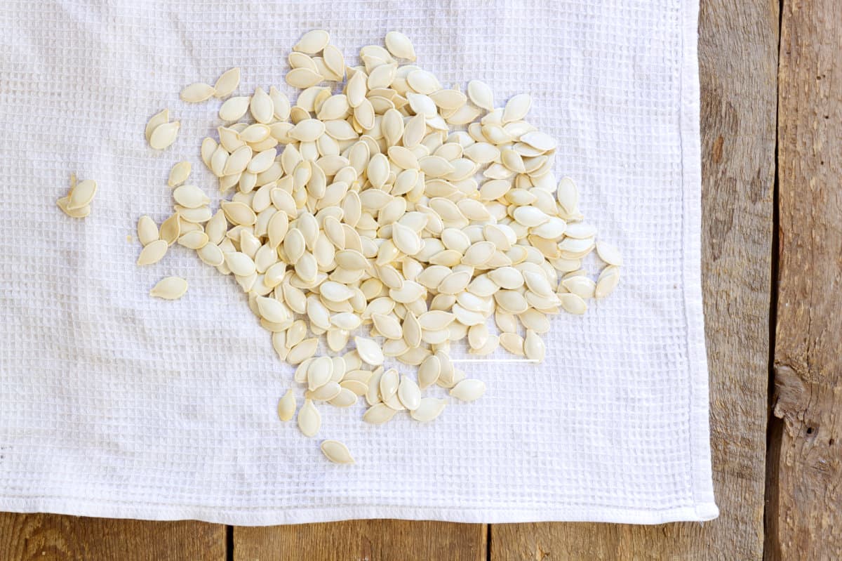 Overhead shot of washed pumpkin seeds being dryed on a white kitchen towel.