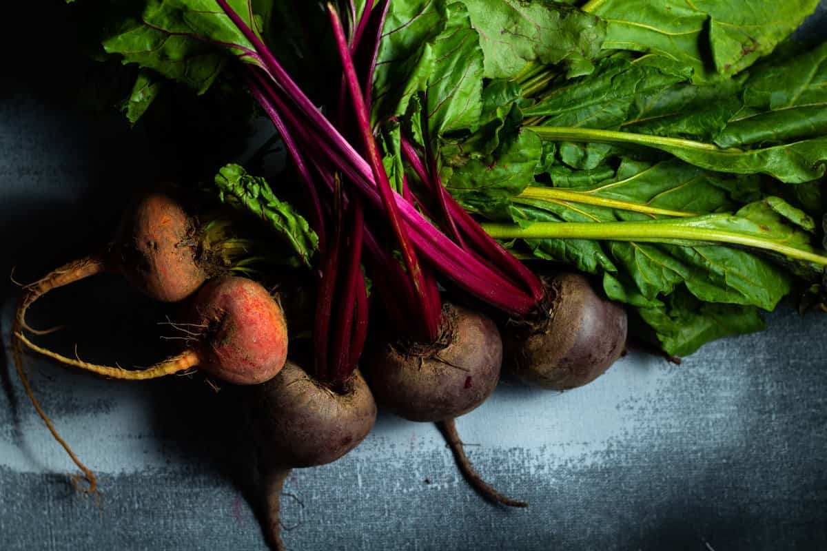 red and yellow beets with tops still attached displayed on a grey background with dark moody lighting.