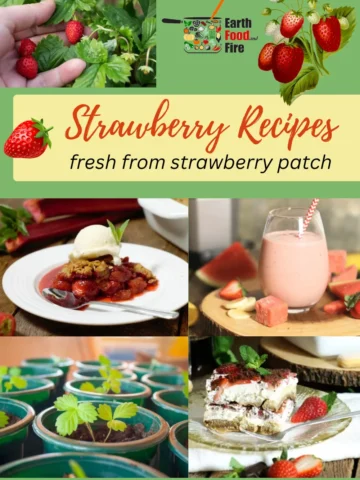 Strawberry Recipes - Strawberry Rhubarb Crumble, Strawberry Tiramisu, Strawberry Watermelon Smoothie, Grow Strawberries At Home in pots