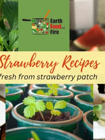 Strawberry Recipes - Strawberry Rhubarb Crumble, Strawberry Tiramisu, Strawberry Watermelon Smoothie, Grow Strawberries At Home in pots