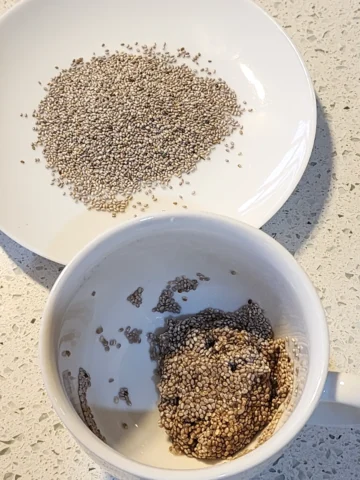 Chia seeds and chia egg - Vegan Substitutes for Eggs