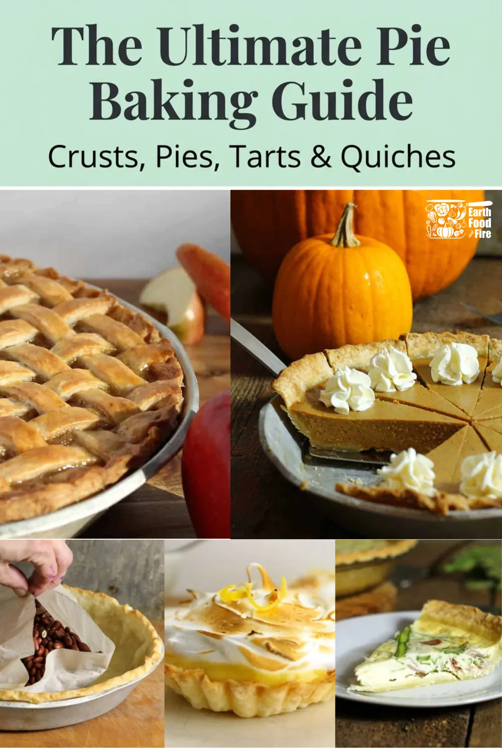 Baking a Pie: apple and pumpkin pies, lemon meringue tarts and quiche
