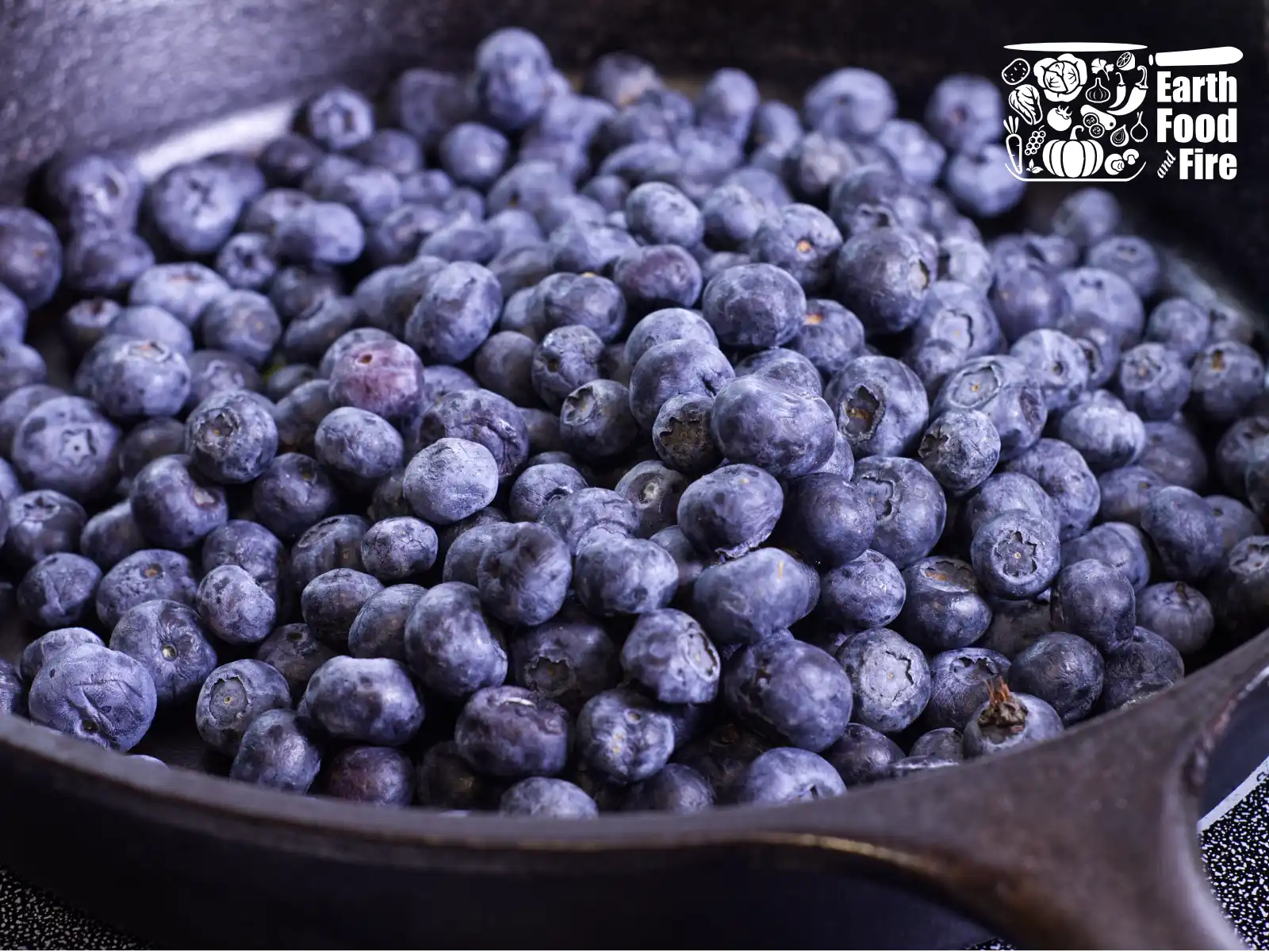 Cast iron pan filled with fresh blueberries
