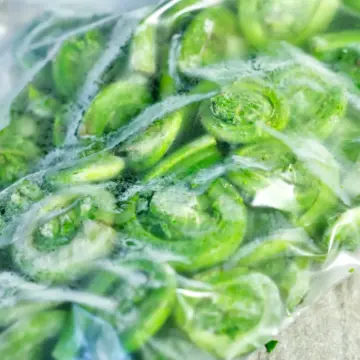 Freezing fiddleheads - ziploc bag with frozen fiddleheads