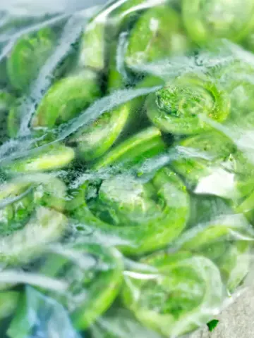 Freezing fiddleheads - ziploc bag with frozen fiddleheads
