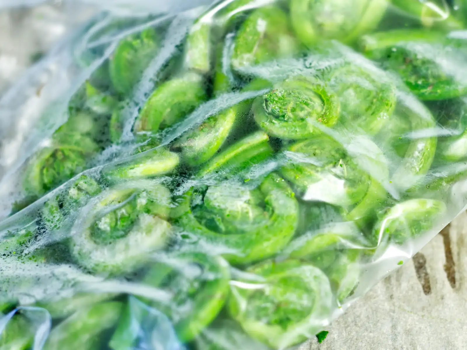 Freezing fiddleheads - ziploc bag with frozen fiddleheads
