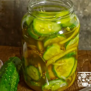 A freshly packed fridge pickled cucumbers in a jar, brine poured to the top.