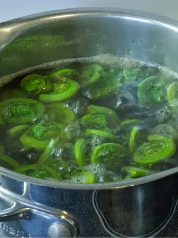 How to cook fiddleheads - cleaned fiddleheads boiling in the water