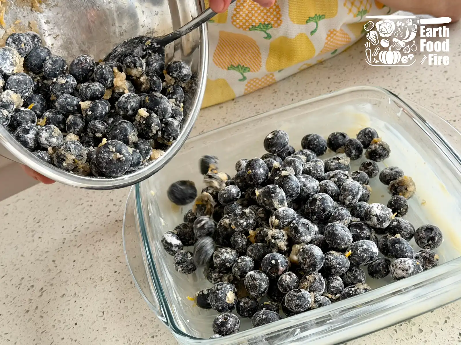 Pouring bluberries coated in sugar, cornstarch and lemon juice into the baking tray