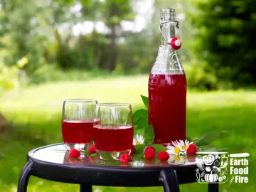 Bottle of raspberry cordial and two poured glasses sitting on a garden table
