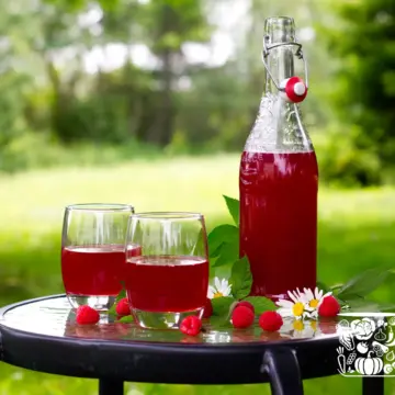 Bottle of raspberry cordial and two poured glasses sitting on a garden table