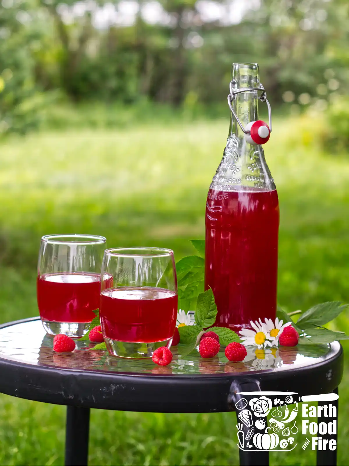 Bottle of raspberry cordial with two poured glasses sitting on the picnic table in the garden