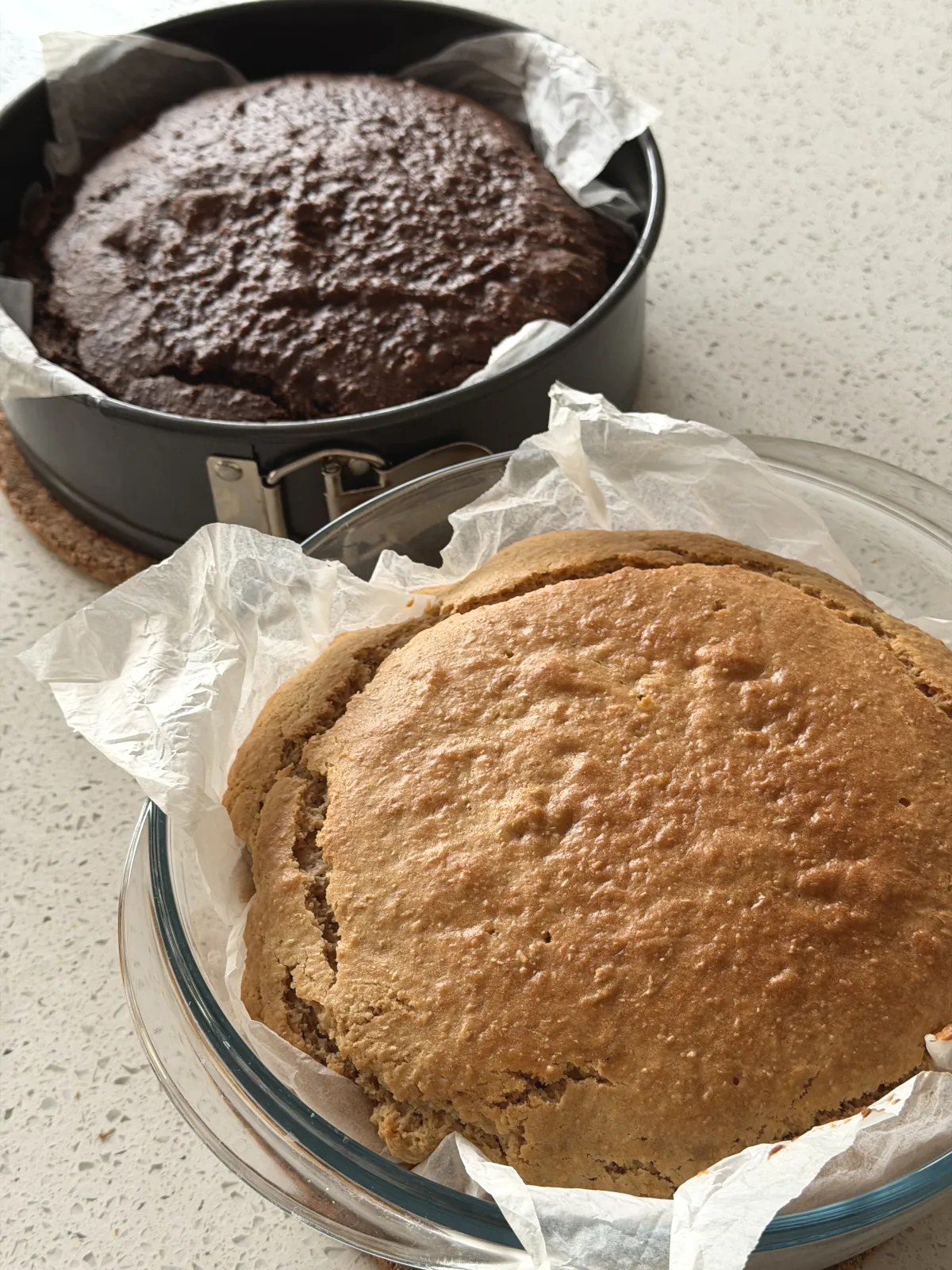 Baked vanilla and chocolate cakes