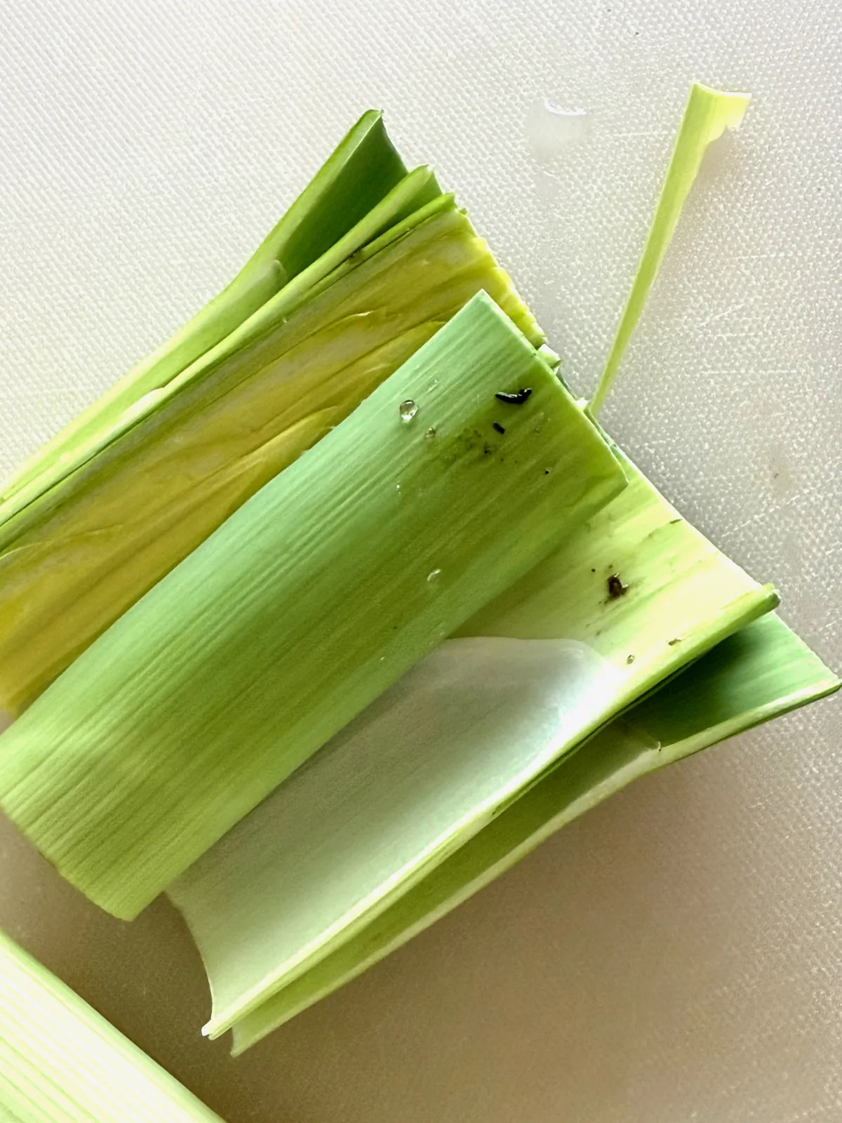 Dirty leek
